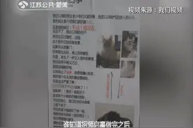 猫“偷”拖鞋，铲屎官张贴招领启事：请凭另一只认领！结果尴尬了