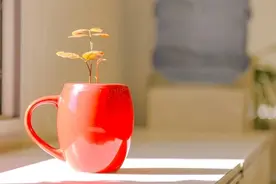 命运是一个借口图片