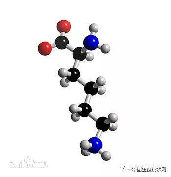 神药氨甲环酸