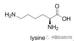 神药氨甲环酸