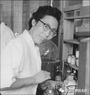 神药氨甲环酸