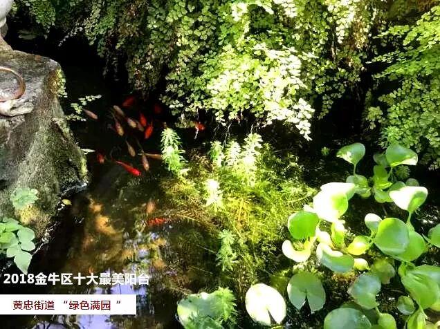 速看！这个片区即将大变，多个重点项目传来最新进展（留言送红包）