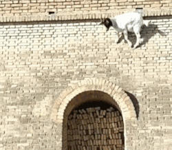 「荐读」这40个冷知识，据说只有1%的人知道，颠覆认知！