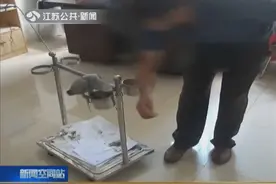 男子爱鸟“成魔”，花4400元买灰毛“怪鸟”，不料招来警察！视频封面
