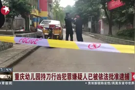 重庆39岁女子幼儿园持刀行凶，致14名学生受伤，已被依法批准逮捕视频封面