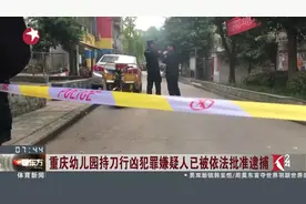 重庆39岁女子幼儿园持刀行凶，致14名学生受伤，已被依法批准逮捕视频封面