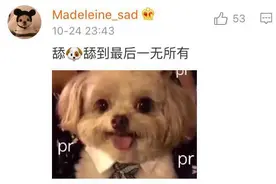 舔狗是个什么狗图片