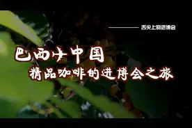舌尖上的进博会：什么样的咖啡才算精品？巴西是这样打分的视频封面