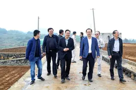 180亩干旱地改造成水田 企业牵手乡村帮扶消薄图片