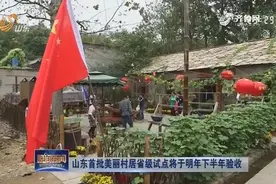 山东：已确定第一批美丽村居省级试点时间表，方案11月底前上报视频封面
