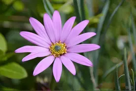 励志正能量的句子，每句都充满力量，看了就有希望图片