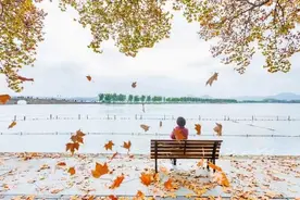 落叶不扫更浪漫！杭州最美落叶大道让你来踩！听，秋天的声音（附地图）图片