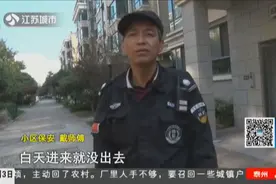 保安凌晨巡逻，4楼外墙有黑影，保安大喊一声小偷坠楼视频封面