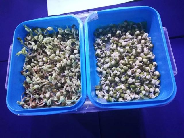 历时七年研发，国内企业首个三元复配植调剂上市！