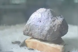 在雪域高原和陨石来一场约会视频封面