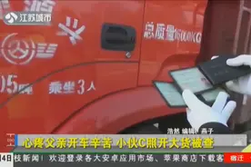 小伙C照开大货车被查，民警询问原因，原是心疼父亲开车辛苦视频封面