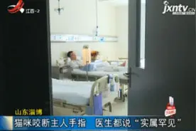 山东淄博：猫咪咬断主人手指 医生都说“实属罕见”视频封面