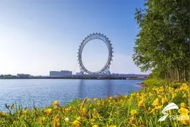 今天起，渤海之眼摩天轮开始年检，暂停对外开放！图片