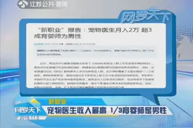 新职业！宠物医生收入最高，近3成月入超过2万视频封面