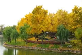 这儿的风景变身美如画！北京十万亩拆迁腾退地将变风景林图片
