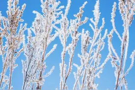 「慢城 · 光影」云横秦岭 雪落蓝关 蓝田迎来第二场雪 美得很 赏雪走！图片