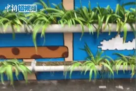 “超级玛丽”彩绘街亮相西安 勾起童年回忆视频封面