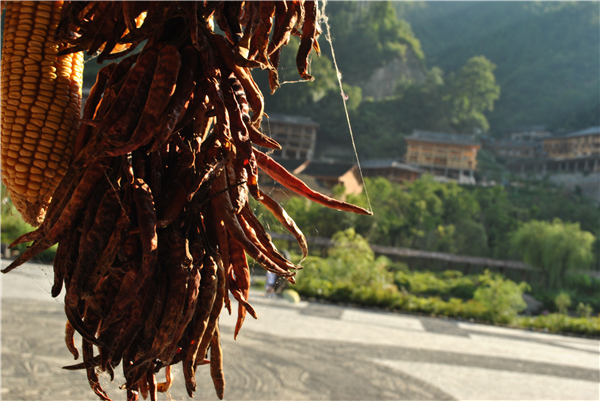 黑糯茶康而福这个牌子好吗（医生铁胃也难抵这3种食物）