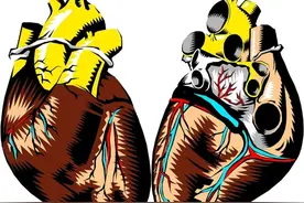 冬季吃这4种鱼养生效果好图片