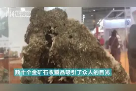 金子大家都见过，金矿原石你见过吗？视频封面