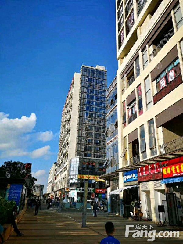 泛亚城邦三期逾期交房，泛亚城邦规划图 配图02