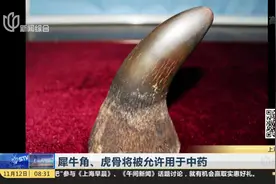 解禁啦！犀牛角、虎骨将被允许用于中药