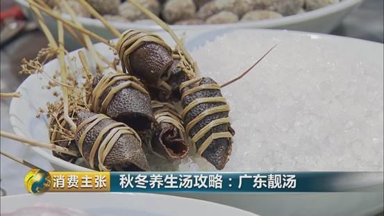 花胶炖海参瑶柱 2026年花胶炖海参瑶柱汤的做法