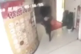 女顾客去洗手间，海底捞男店员尾随拍照，行迹败露后狂抽自己耳光视频封面