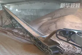 中国金融机构支持民营企业扩大粮食收购规模视频封面