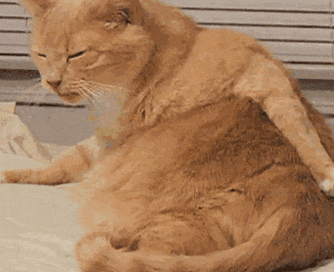 药妆界的国货之光｜三甲医院护肤品，最低9块5