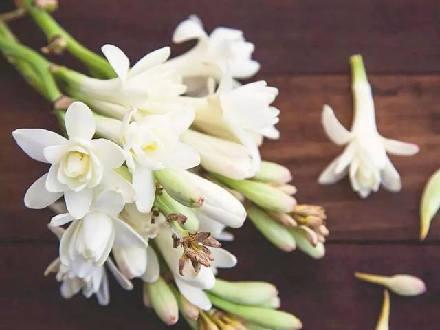 闆峰彅鏈夎揣涓ㄩ槻鑴辨皑鍩洪吀娲楀彂姘达紝澶寸毊鍋ュ悍涓嶆补鑵伙紝澶村彂钃澗瓒呴『婊? onerror=