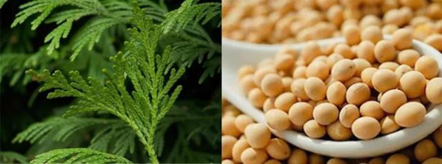 闆峰彅鏈夎揣涓ㄩ槻鑴辨皑鍩洪吀娲楀彂姘达紝澶寸毊鍋ュ悍涓嶆补鑵伙紝澶村彂钃澗瓒呴『婊? onerror=