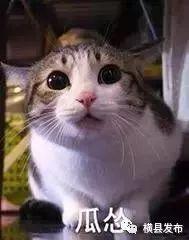 「天气」横县本周末气温暴降至14℃，还有雨雨雨……