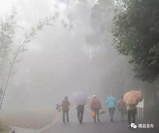 「天气」横县本周末气温暴降至14℃，还有雨雨雨……