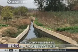 南京：高速服务区成污染源，水域发黑，记者调查发现真相视频封面