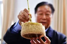 中国绿色“奇兵”站上全球反贫困前线图片