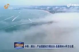 中韩（烟台）产业园建设方案出台，投资额超过二十亿美元！视频封面