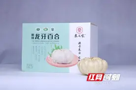隆回特色产业——龙牙百合图片