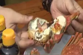 螃蟹专家教你如何吃螃蟹！螃蟹中的“四不吃”你知道指什么吗？