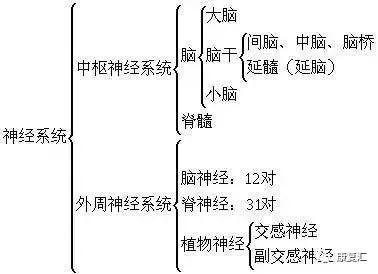 皮肤病手掌心角化裂隙能否对肌瘫瘫肌力鉴定