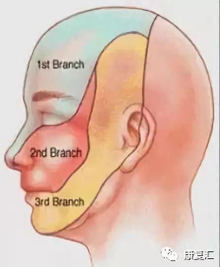 皮肤病手掌心角化裂隙能否对肌瘫瘫肌力鉴定