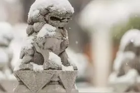 小雪｜我慢慢地听雪落下的声音……图片
