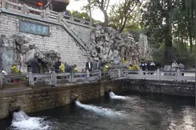 济南：初冬赏泉游兴不减视频封面