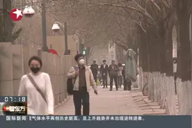 灰蒙蒙一片！京津冀遭遇重污染，北京今启动空气重污染黄色预警视频封面