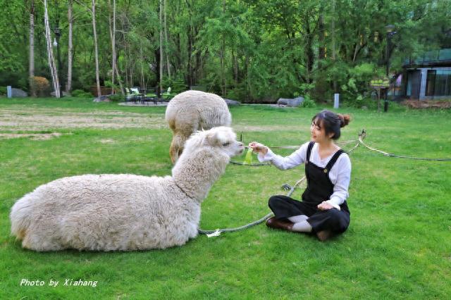 长白山自助游攻略(长白山攻略完整版)